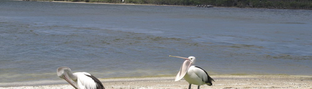 Metung (Gippsland Lakes, VIC)