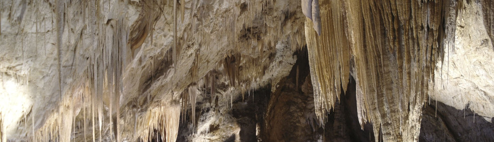 Hastings Caves (South Tasmania)