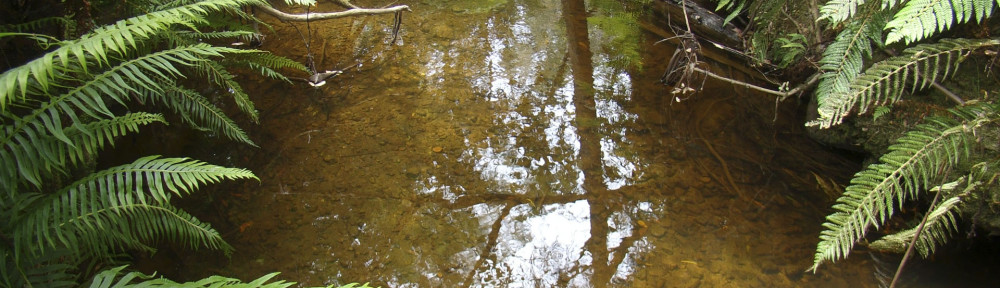 Thermal Springs (South Tasmania)