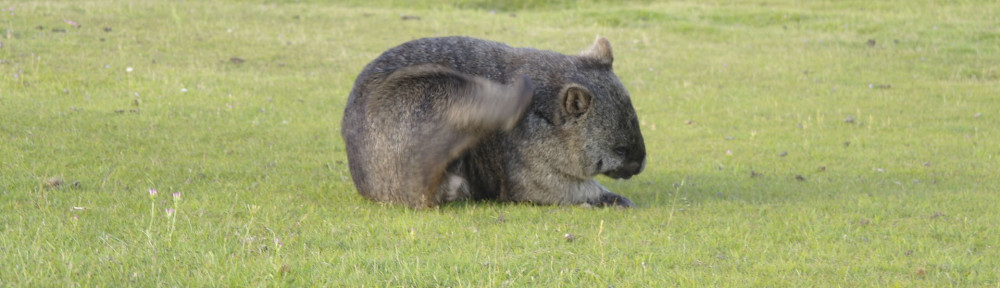 Narawntapu National Park, Tasmania