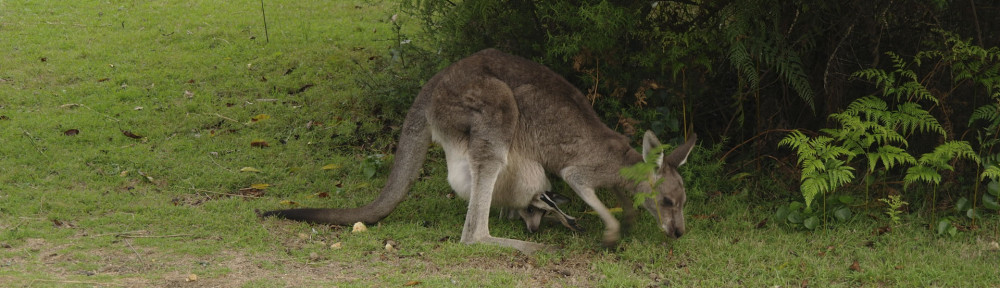 Bournda National Park, New South Wales
