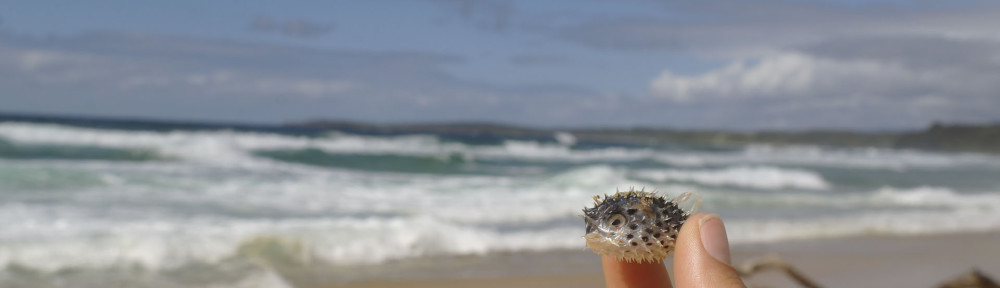 Congo Point, NSW