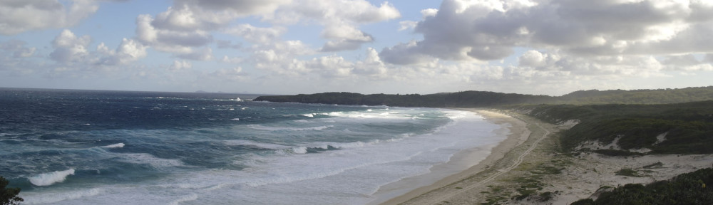 Sugarloaf Point, NSW
