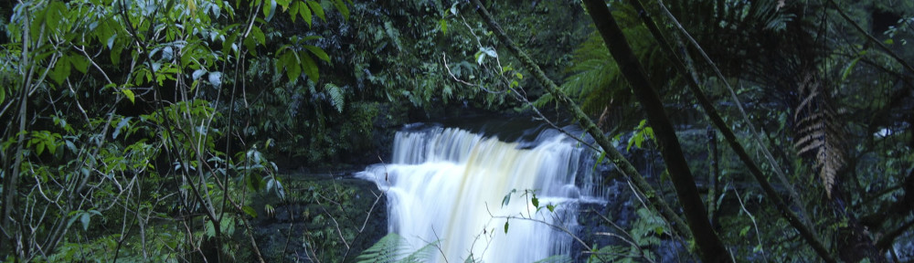 McLean Falls NZ