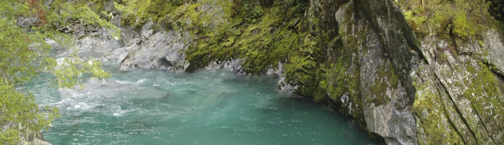 Haast Pass NZ