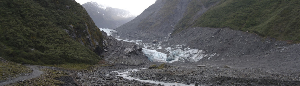Fox Glacier NZ