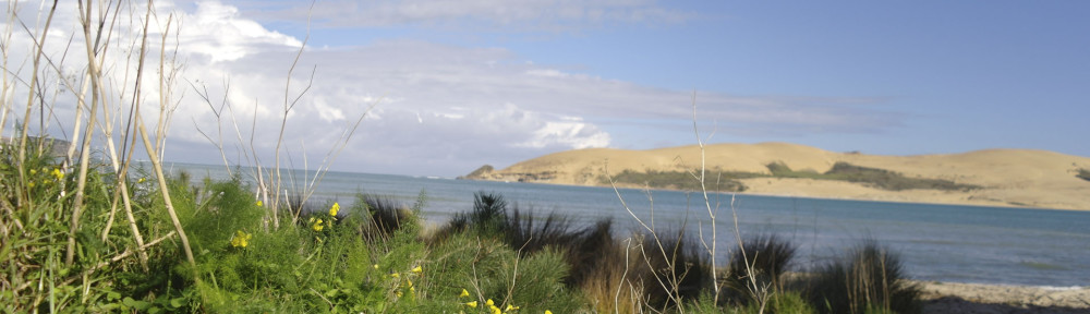 Opononi NZ