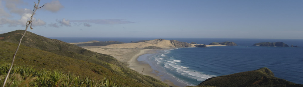 Cape Reinga NZ