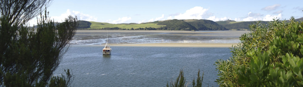 East Coast of Northern Island NZ